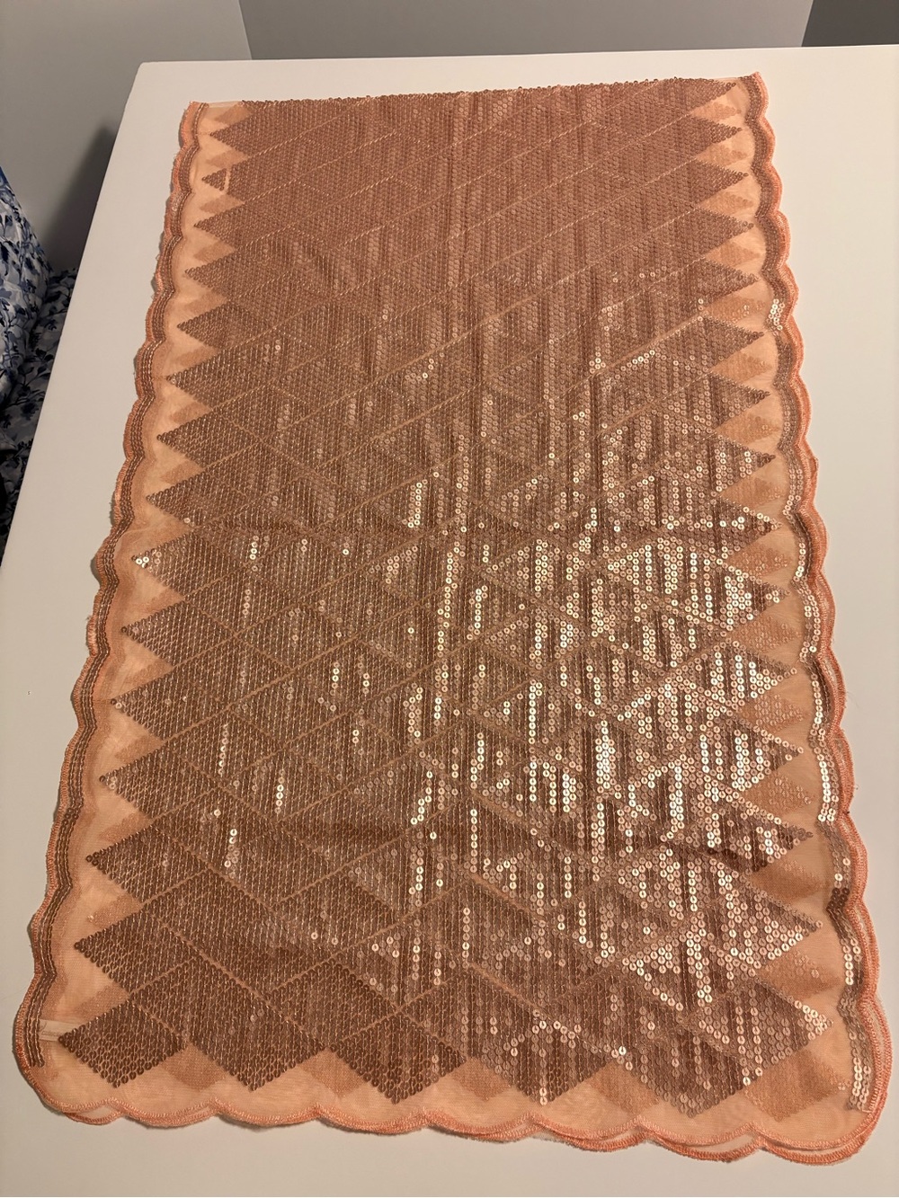 Collection Eighteen Sequined Mesh Scarf/Shawl with Scalloped Edge